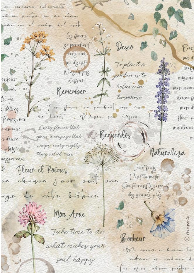 Stamperia Flowers and Poems A4 Rice Paper Flowers and Writings (DFSA41160) 