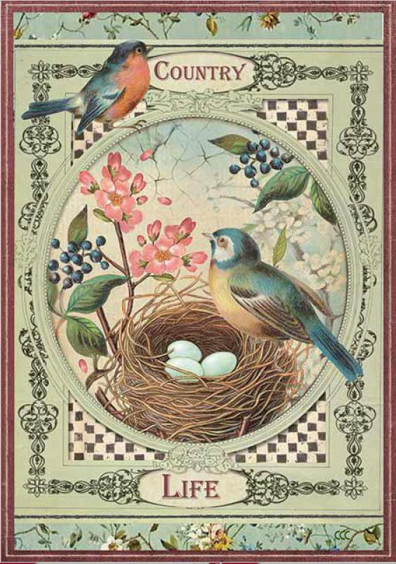 Stamperia Rice Paper A4 -  COUNTRY LIFE BIRDS DFSA4352