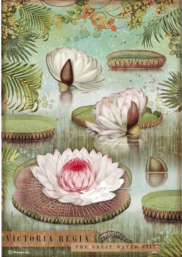 Stamperia A4 Rice Paper - Amazonia Water Lily DFSA4529)