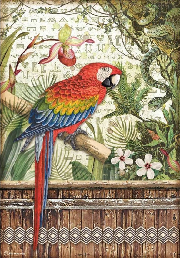 Stamperia A4 Rice Paper - Amazonia Parrot  (DFSA4531)