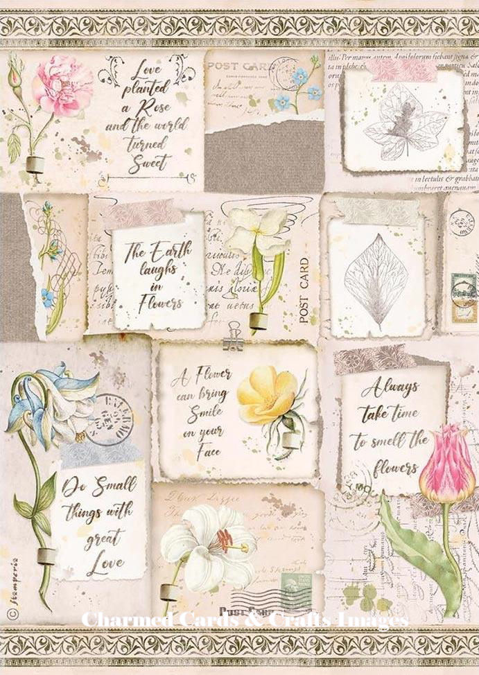 Stamperia  House Garden A4 Rice Paper - LETTERS & FLOWERS (DFSA4669)