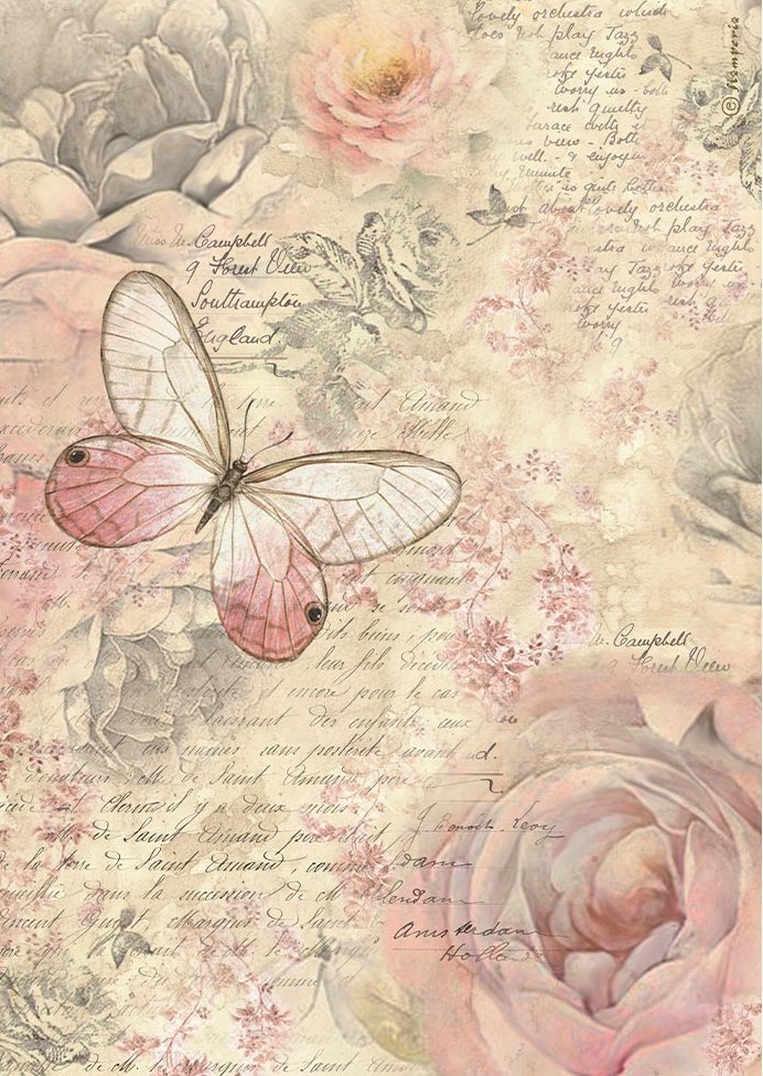 Stamperia Shabby Rose  A4 Rice Paper - Butterfly (DFSA4878)
