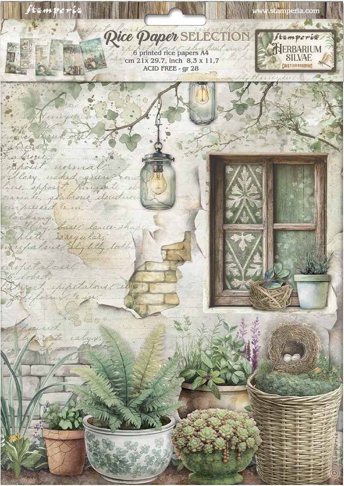 Stamperia Herbarium Silvae A4 Rice Paper Selection