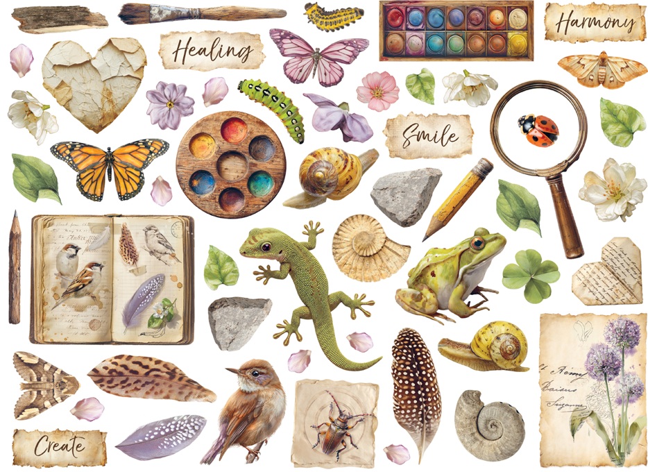 Stamperia All Around Die Cuts Assorted (DFLDC133) 