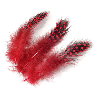 Guinea Fowl Feathers - Carmine