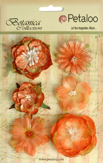 Petaloo Chantilly Mixed Blooms Sienna