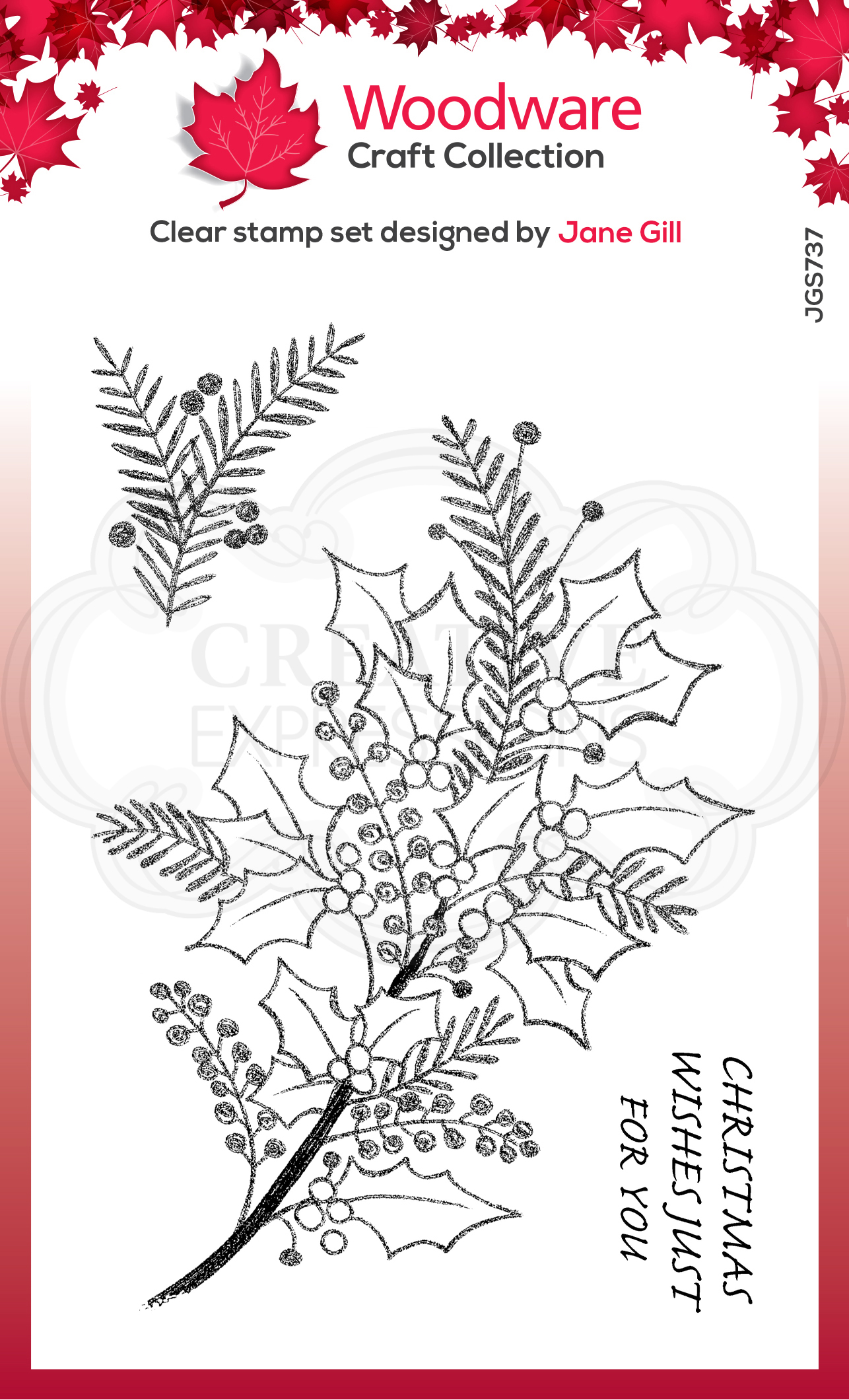 Woodware Clear Festive Stamps - SKETCHY SPRIGS (JGS737)