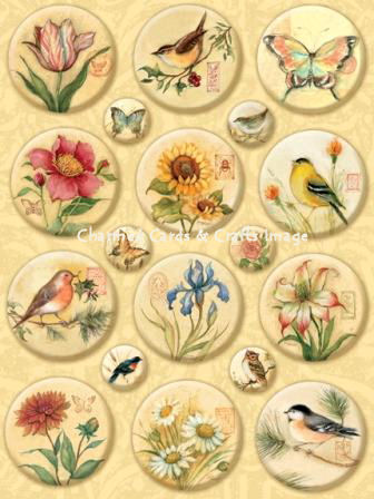 K&Co Nature Icon Clearly Stickers