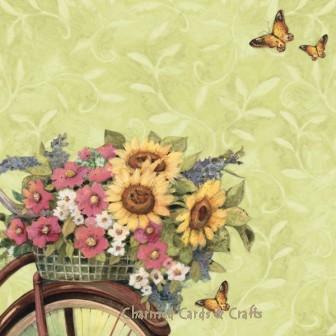 K & Company Spring Blossom Speciality Paper- Flowers On Bicycle   