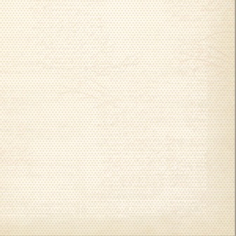 My Minds Eye Lost/Found 2 Blush Paper - Princess - Pintuck