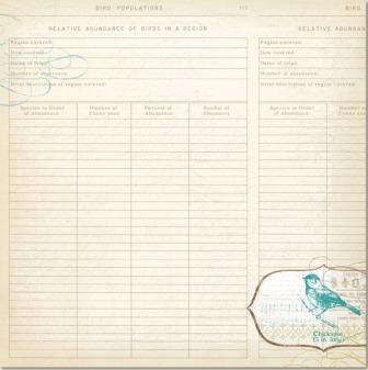 My Minds Eye Lost/Found 2 Breeze Boyish - Plaid