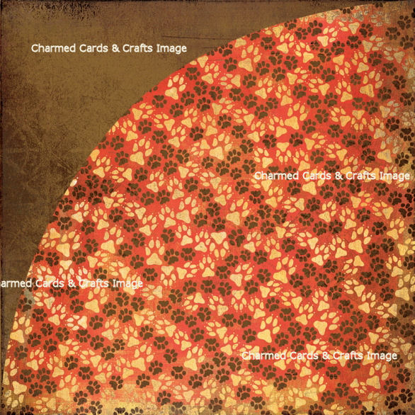 Basic Grey Max & Whiskers - Tiger