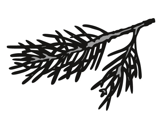 Marianne Design Craftable Dies - Tinys Pine Tree Branch (CR1378)