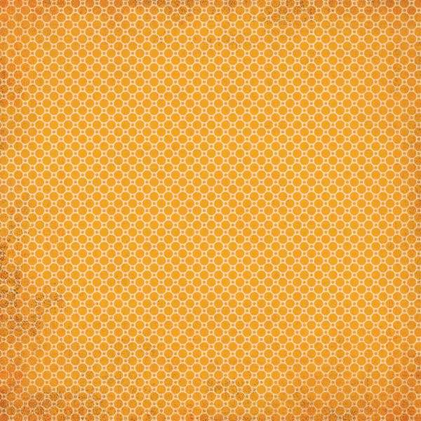 Basic Grey Offbeat - Nonchalant