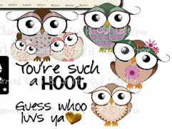 HOOT HOOT!