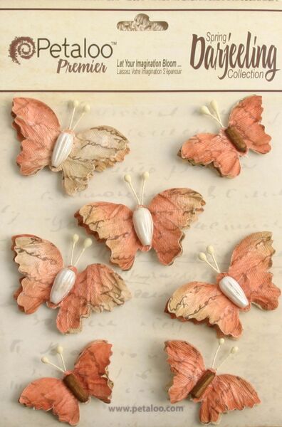 Petaloo Darjeeling Natural Wild Butterflies PAPRIKA