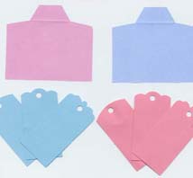 Die-Cuts - Tags & Vellum Envelopes 2 Colour Pack - 4 Sheets  