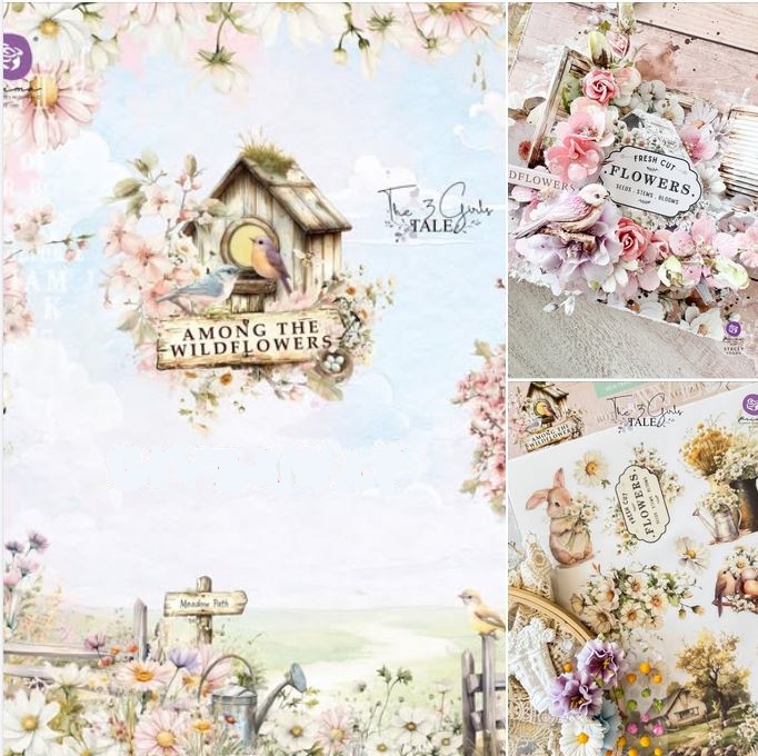 3 Girls Tale and Prima Marketing