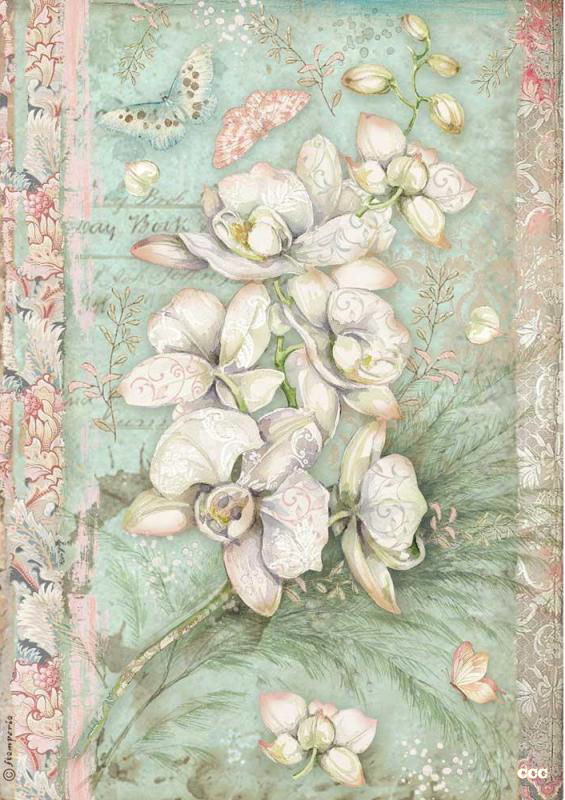 Stamperia A4 Rice Paper - White Orchid (DFSA4508)