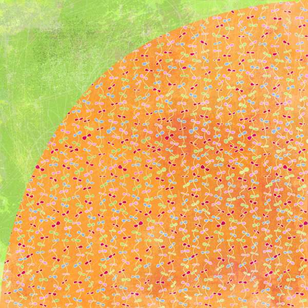 Basic Grey Sugar Rush - Orange Slices