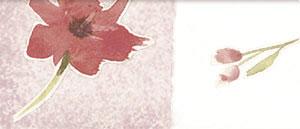 Sharon Ann - Floral Block Plain Vellum (SAC-210)