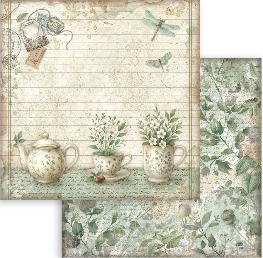 Stamperia Herbarium Silvae 12x12 Paper - Teacup (SBB1113)