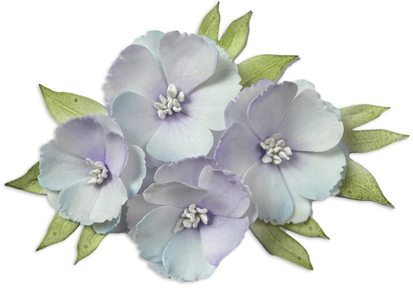 Stamperia Camelia's Bloom A6 Cutting Dies (SFT17) 