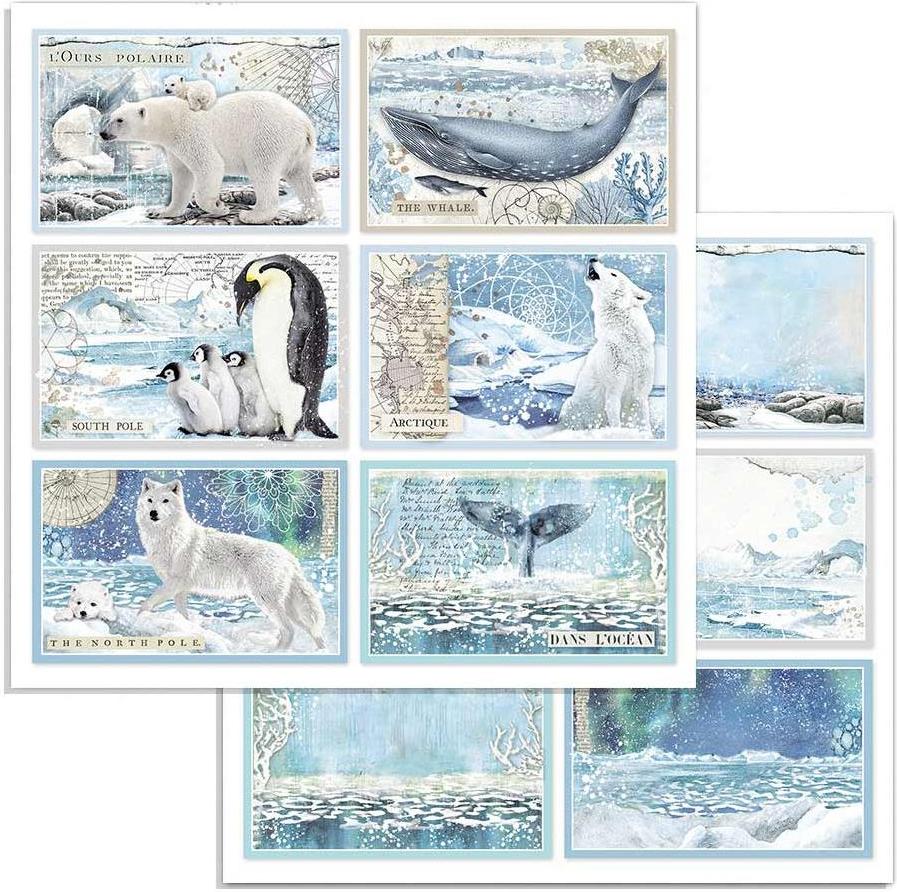 Stamperia Double-Sided Paper - ARCTIC ANTARCTIC CARDS (SBB732)