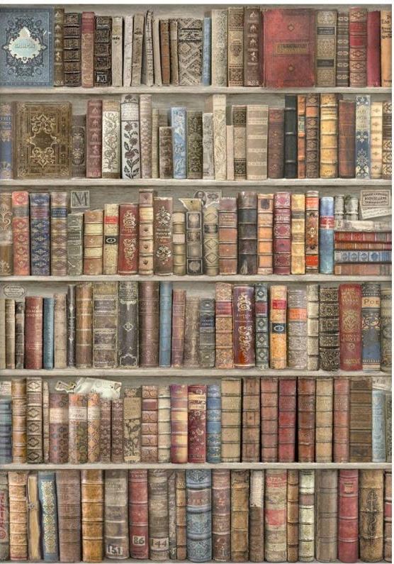 Stamperia Vintage Library A4 Rice Paper - BOOKCASE DFSA4754