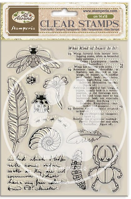 Stamperia All Around Clear Stamp (WTK241) 