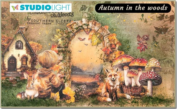 Studio Light Autumn in the woods