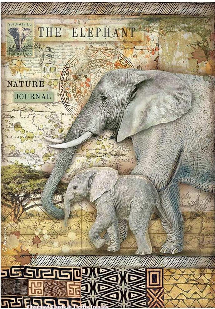 PRE-ORDER: Stamperia A4 SAVANA Rice Paper - THE ELEPHANT (DFSA4684)