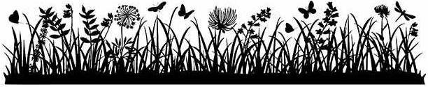 Stamperia Natural Rubber Stamp Meadow (WTKCC148)