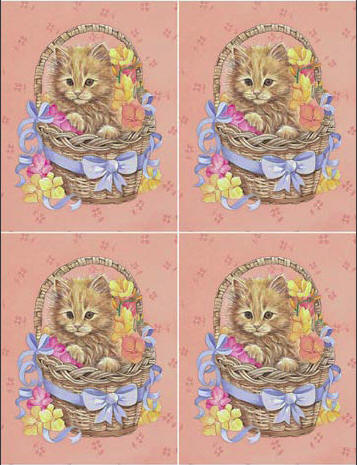 Dcoupage - Cat Basket (Large)
