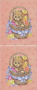 Dcoupage - Cat Basket (Small)