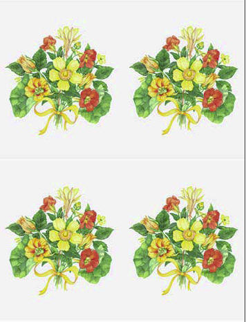 Dcoupage - Nasturtium Bunch (092)