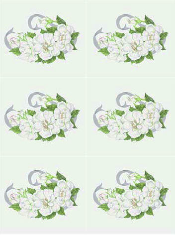 Dcoupage - White Roses (114)