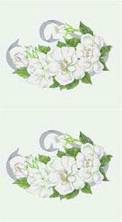 Découpage - White Roses (114)