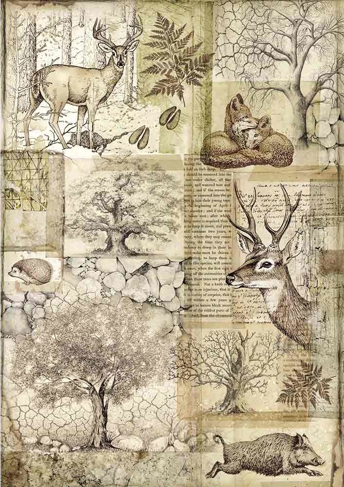 Stamperia Rice Paper A4 -  FOREST DEER AND WILD BOAR (DFSA4426)