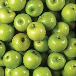 Hot Off The Press 12x12 Paper - Green Apples