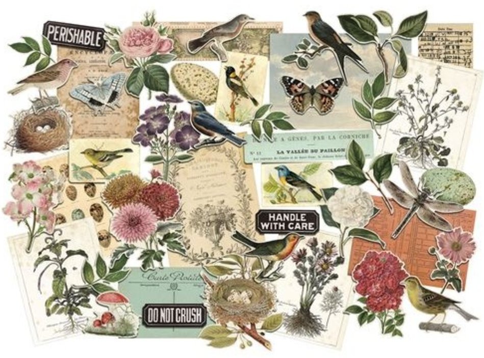 Tim Holtz idea-ology Layers Organic (TH94316)