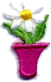 Motifs - Flower in Pot Cerise/White