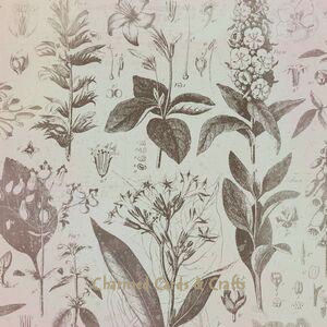 K & Company Flora & Fauna Speciality Paper- Botanical Sketchbook (SHIMMER VELLUM) 