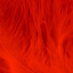KARS Marabou Feathers Red (3g)