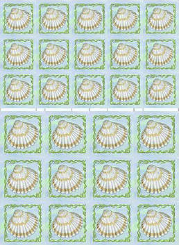 Mini Picture Sheets - Shell