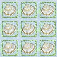 Mini Picture Sheets - Shell