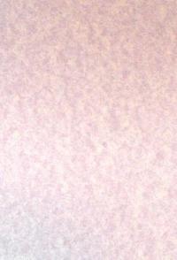 A6 Cards - Parchment Pink (10)