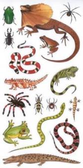 Woodstock Creative Stickers - Reptiles