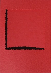 Aperture  Cards -  Deckled Square Red (5)