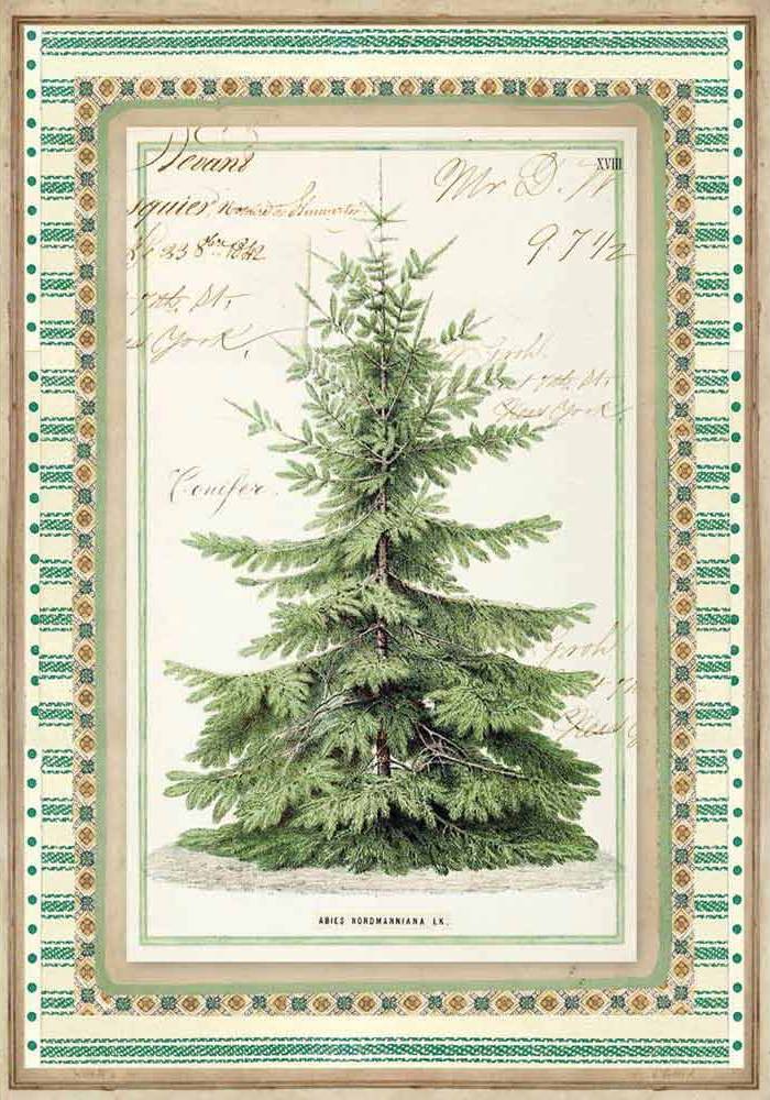 Stamperia Rice Paper A4 - Winter Botanic Christmas Tree (DFSA4327)